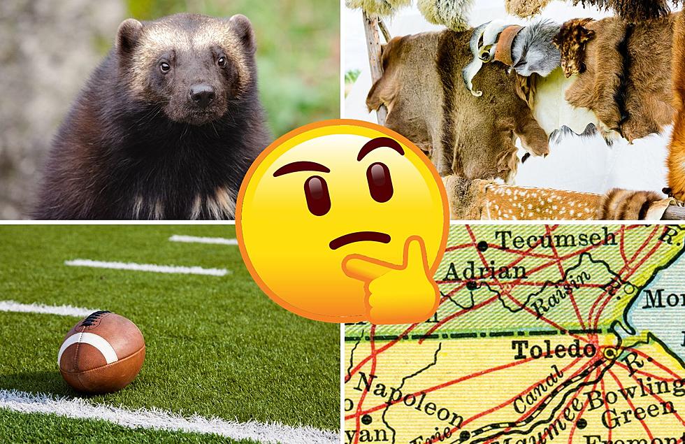 What’s The Real Reason Michigan Is Called The Wolverine State?