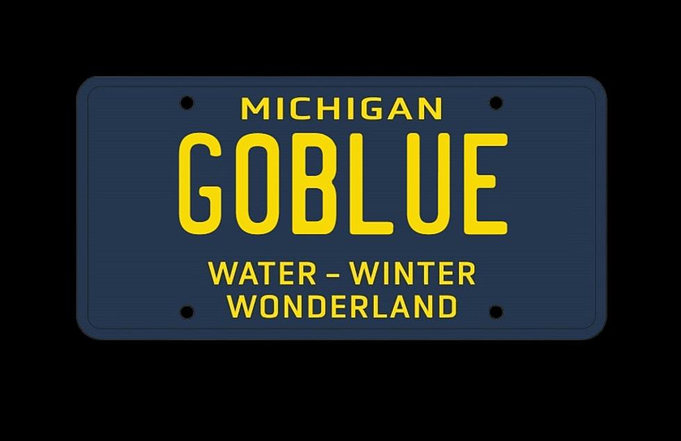 Michigan Man Suing Secretary of State Over GOBLUE License Plate