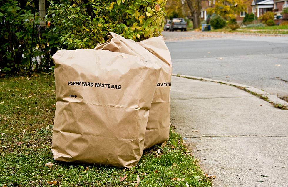 Time’s Ticking: Grand Rapids Yard Waste Pickup Ending Saturday