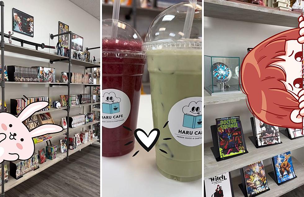 Nerd Alert: Michigan Now Has It&#8217;s First Ever Manga Cafe