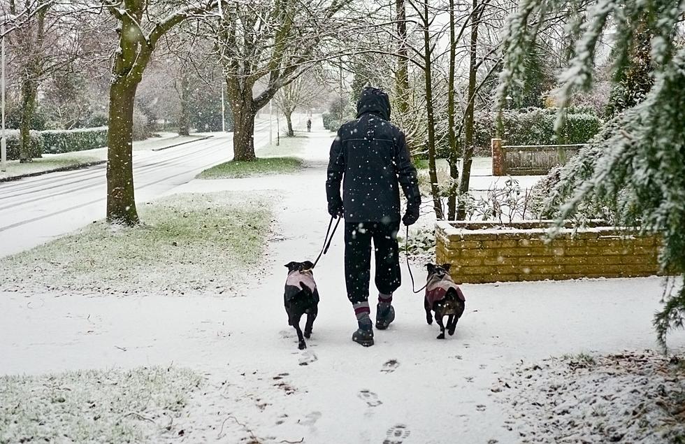 When It’s This Cold In Michigan Walking Your Dog Could Be Deadly