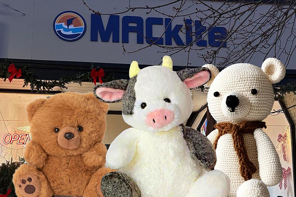 Unleash Your Imagination At The Stuffy Sleepover Hosted By MACkite Toys