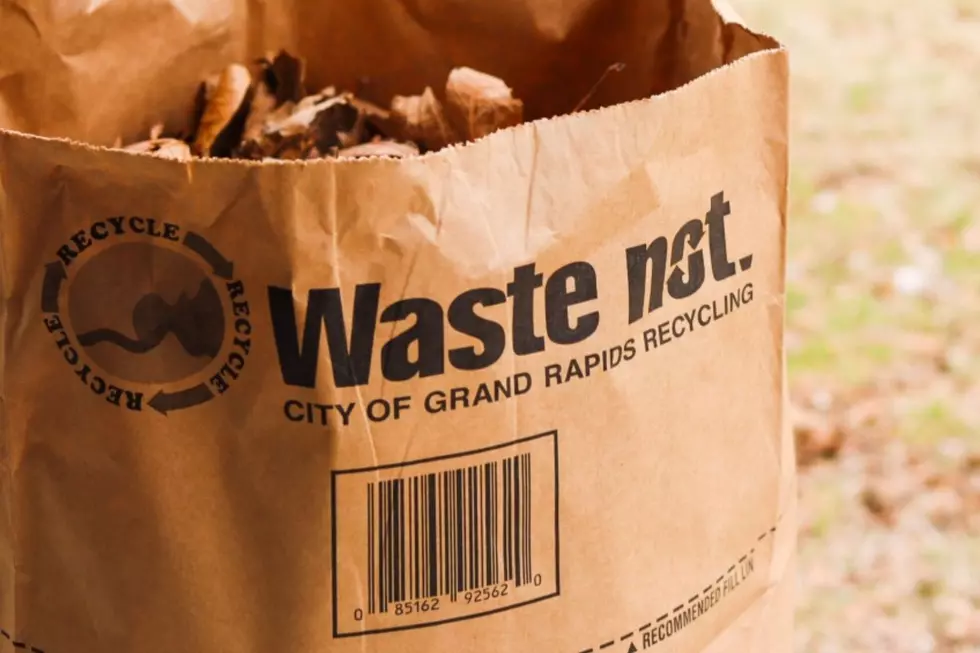 Everything You Need To Know About Grand Rapids Yard Waste Collection Starting April 1st
