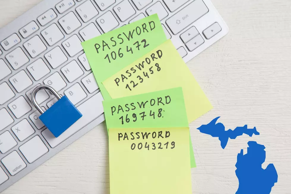 Hey, Michigan — If These are Your Passwords, Change Them Immediately