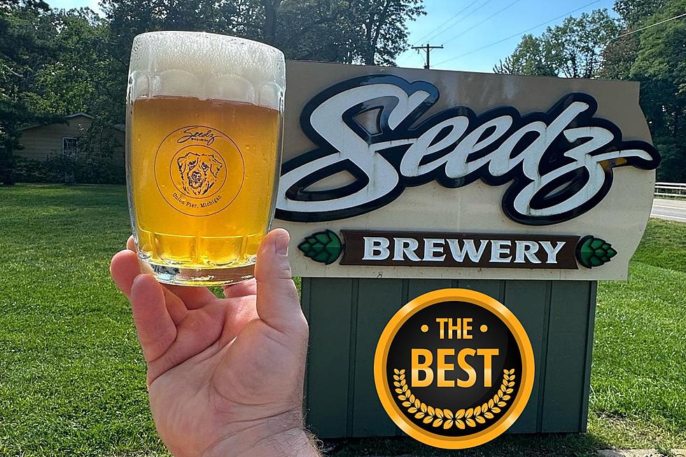 Seedz Brewery Has Been Picked As The Best New Brewery In America