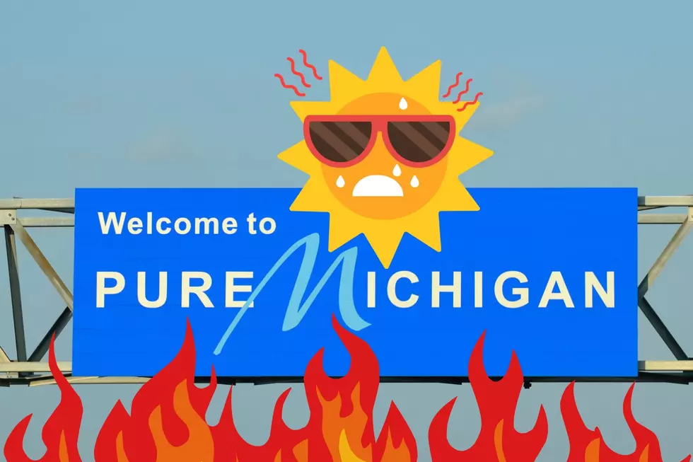 Farmer’s Almanac Says Michigan’s Summer Could Be A Real Scorcher