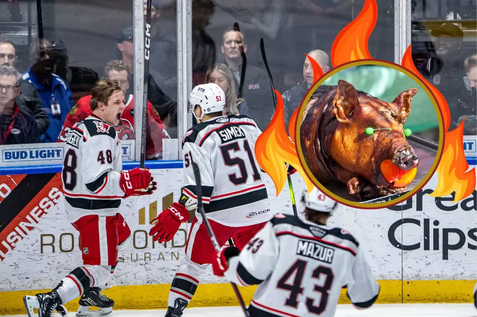 Grand Rapids Griffins To Roast Pig Ahead of Playoff Game Against Rockford IceHogs
