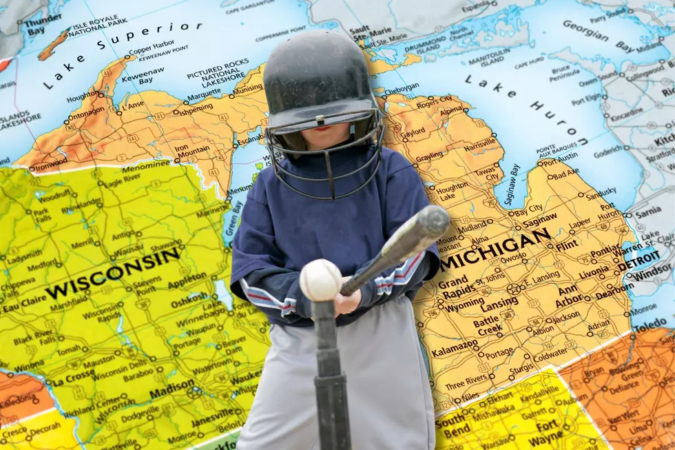 Did You Know That Tee-Ball Was Invented in Michigan?