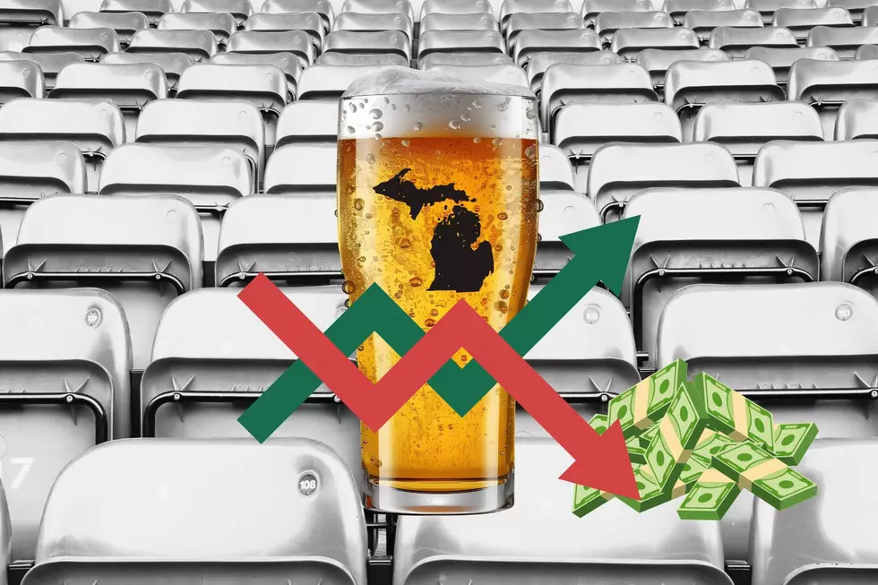 Michigan&#8217;s Most Expensive Arena Beer Costs $10 More Than Any Other