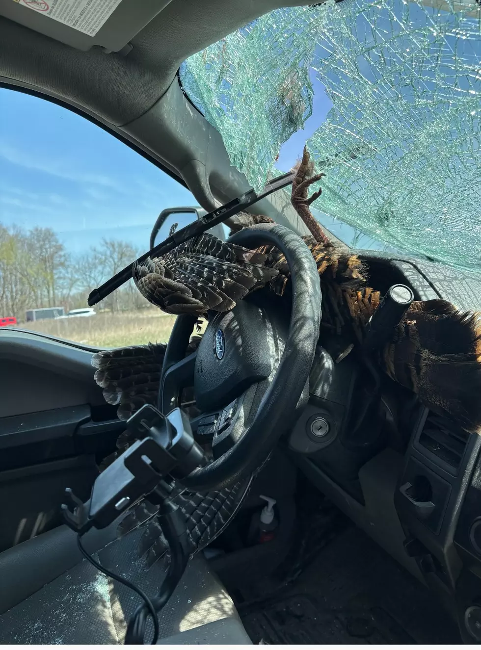 MSP Share Picture of Turkey That Went Through A Windshield