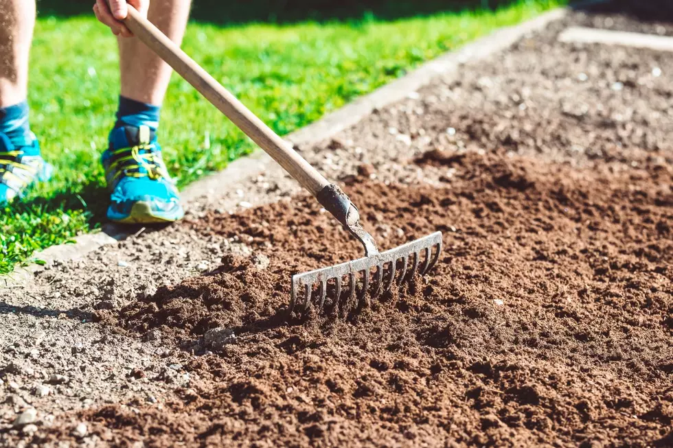 Raking Soil