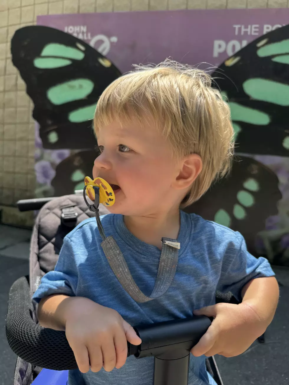 John Ball Zoo, Pollinators, Power of Pollinators, 2025