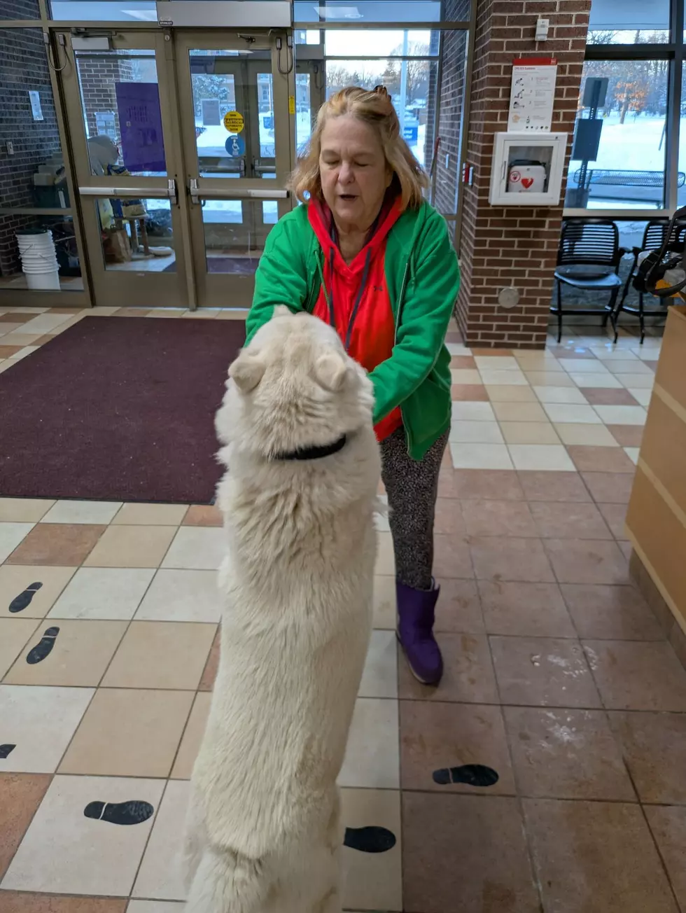 Credit: Kent County Animal Shelter via Facebook