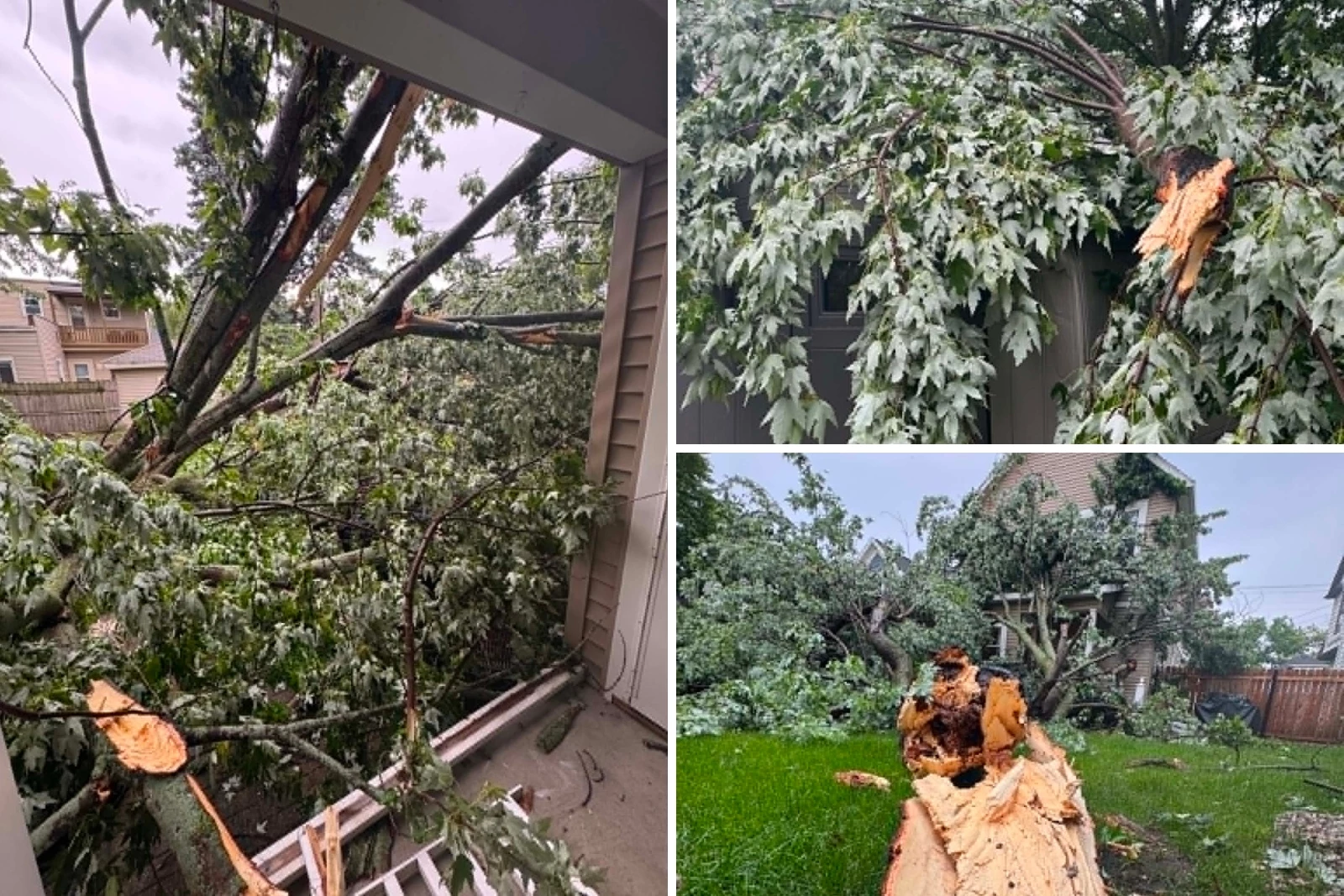 洋楽 Departures 3rd Grand Rapids Storm Close Call Destroys Backyard Tree