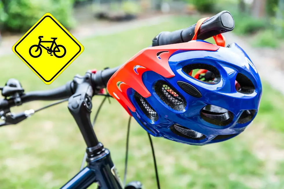The Grand Rapids Griffins Are Giving Away Free Bike Helmets Next Week