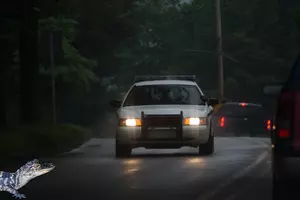You’ll Never Guess What a Michigan Deputy Just Found in a Roadside Puddle