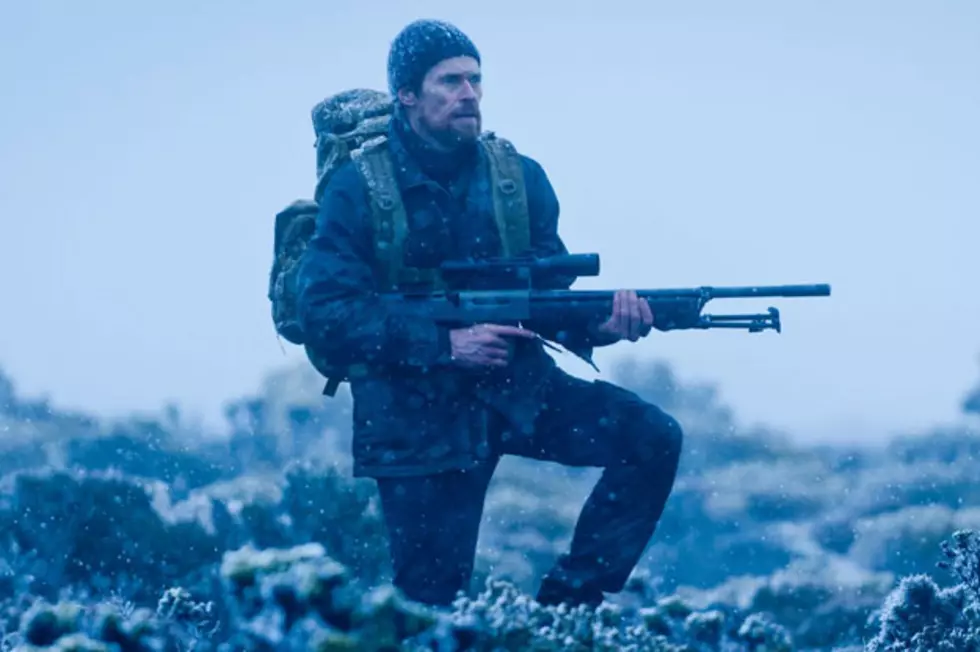 &#8216;The Hunter&#8217; Review