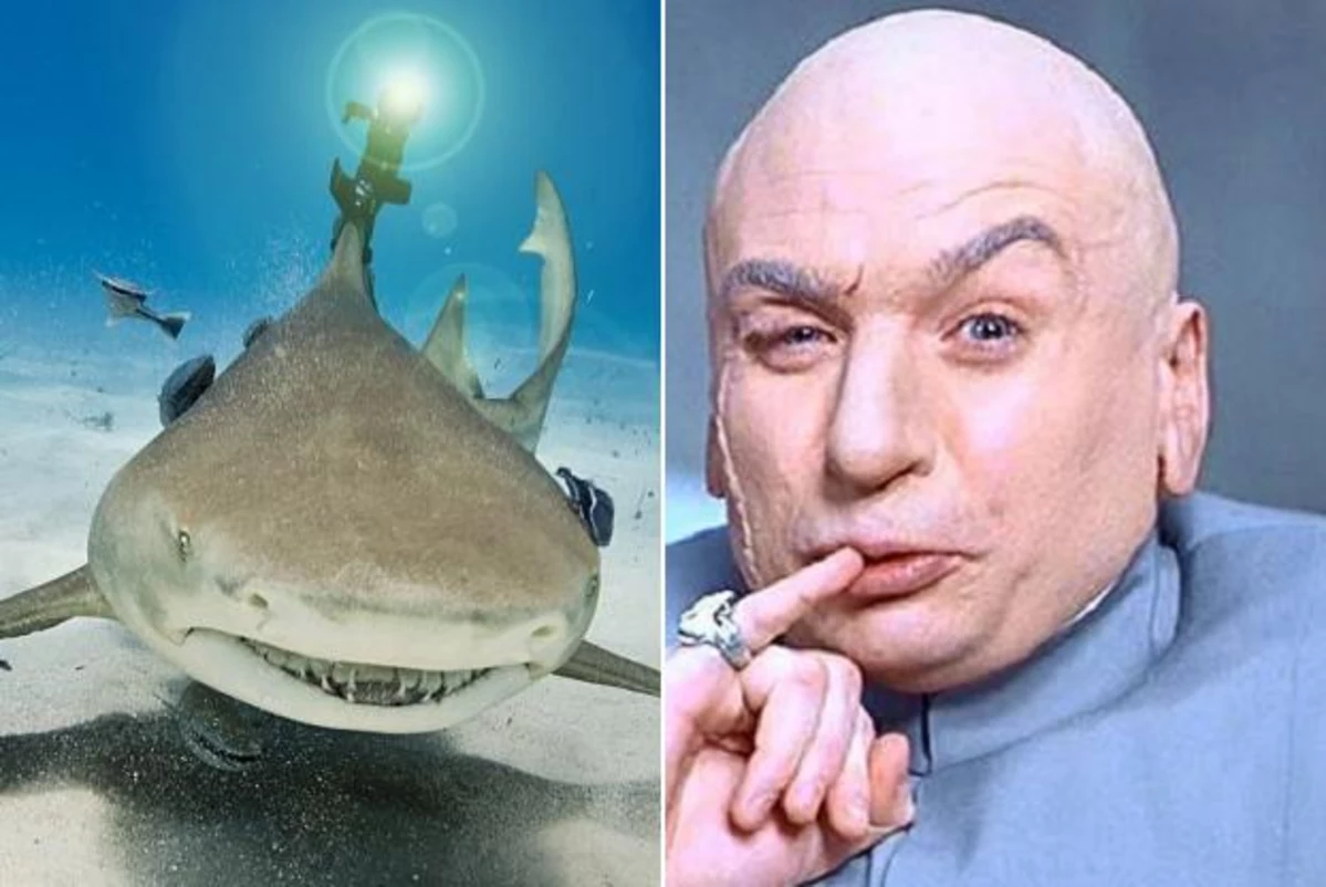 Paging Dr. Evil: Science Finally Puts Laser Beams on Sharks