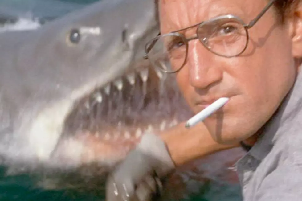 Sibling Revivalry: Watching &#8216;Jaws&#8217; For the First Time