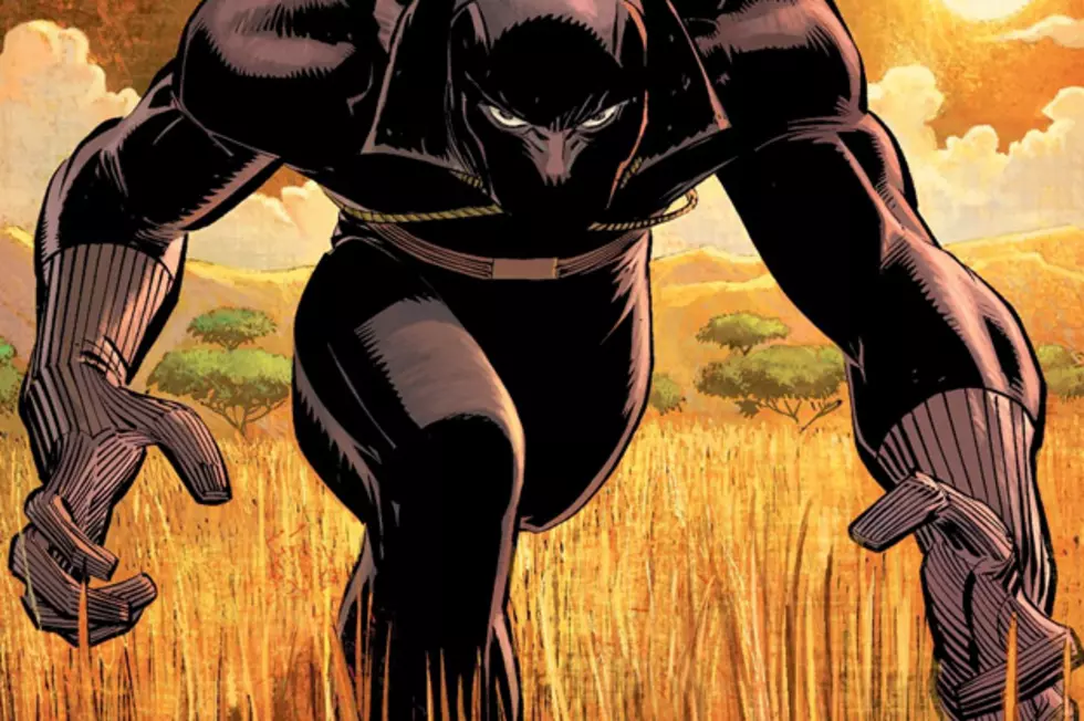 Will &#8216;Black Panther&#8217; Be the Next Marvel Superhero Film?