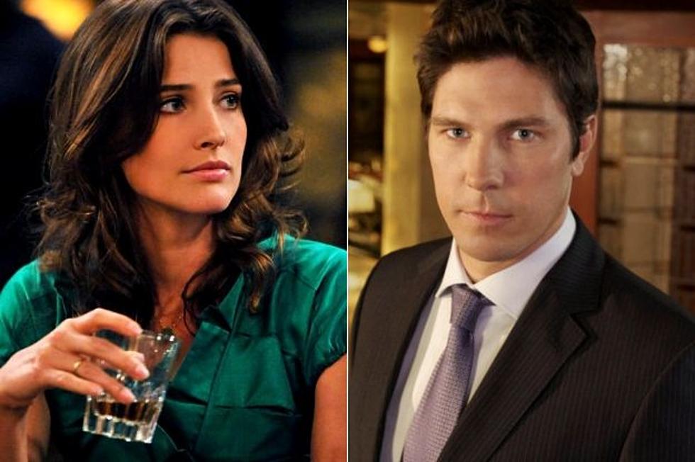 &#8216;How I Met Your Mother&#8217; Season 8 Adding New (Old) Love Interest for Robin