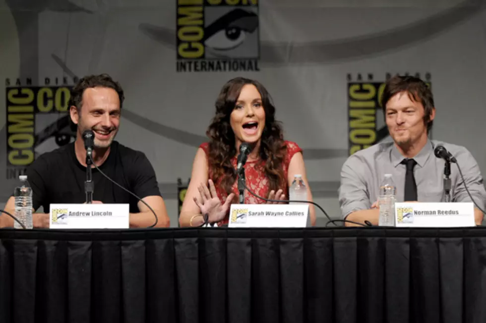 Comic-Con 2012: 'The Walking Dead' Panel Showcases New Zombie-Fighting  Footage