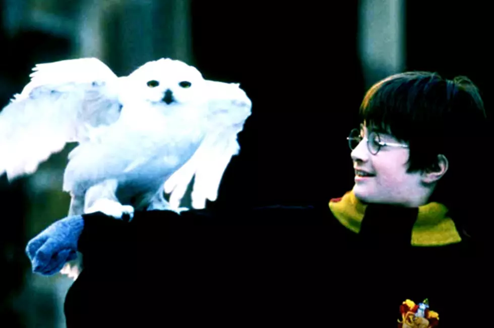 Pixel Perfect: It&#8217;s &#8216;Harry Potter and the Sorcerer&#8217;s Stone&#8217;