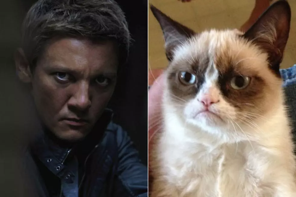 Jeremy Renner + “Grumpy Cat” — Dead Ringers?