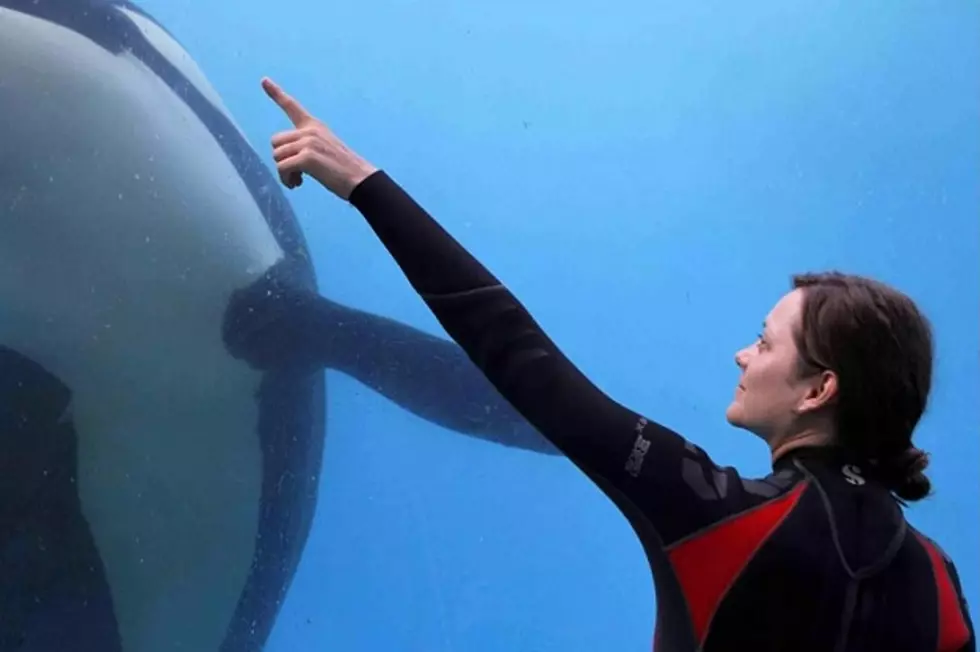 Marion Cotillard Leads the ‘Rust and Bone’ Trailer