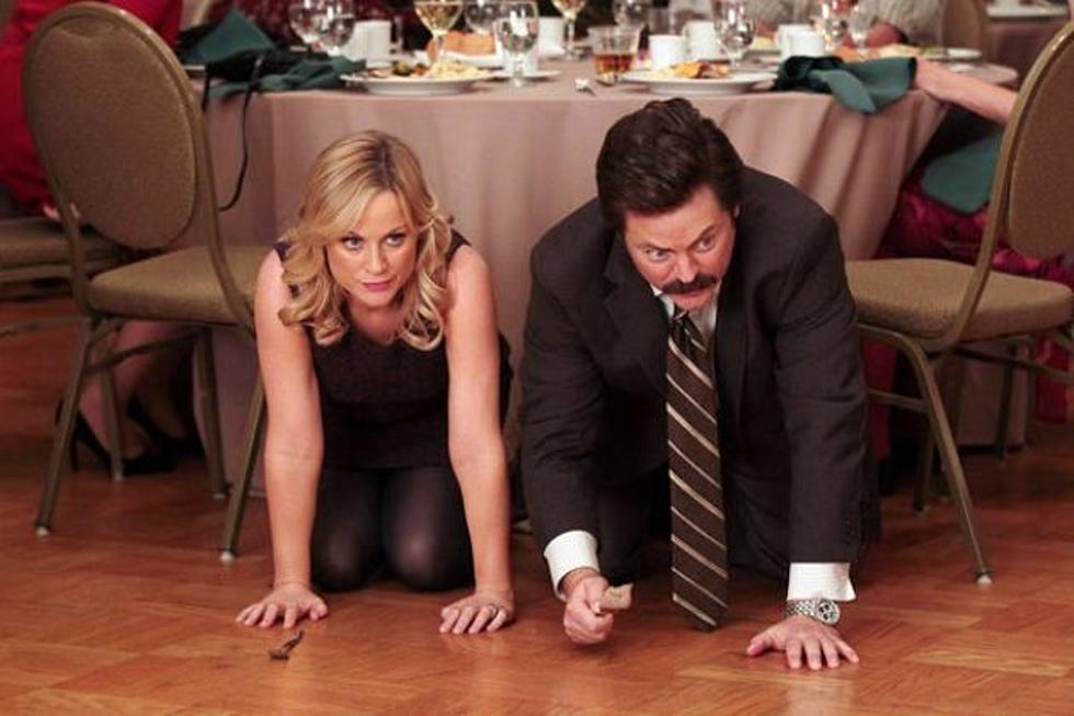 ‘Parks and Recreation’ Review: “Ron and Diane”