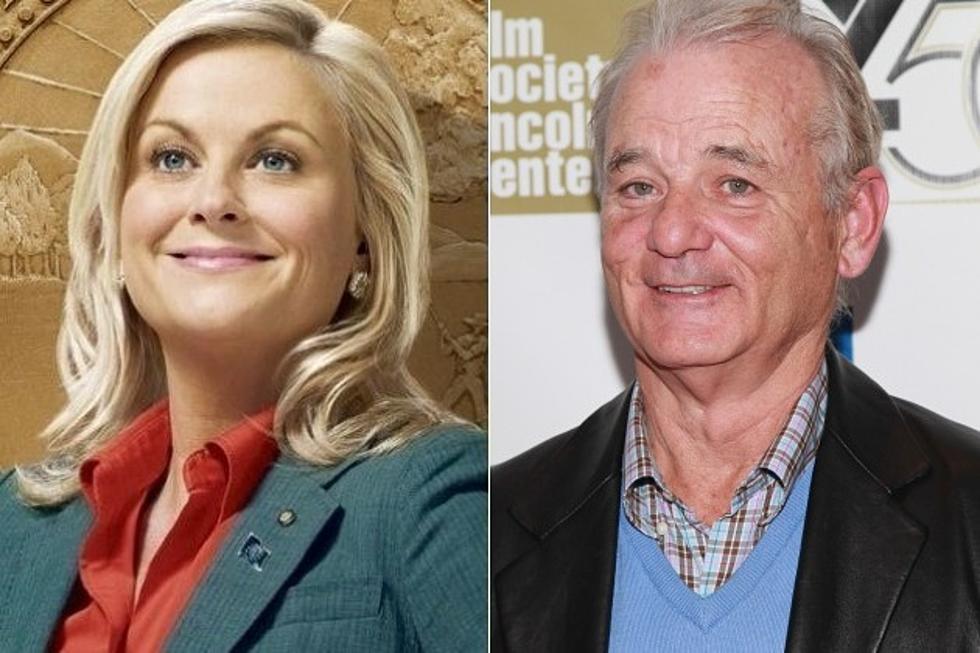 &#8216;Parks and Recreation: Could Bill Murray Be Pawnee&#8217;s Mayor?
