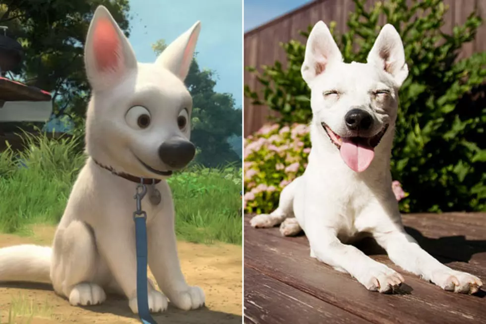 Real-Life ‘Bolt’ Dog Is Just Happy to Be Alive — Dead Ringers?