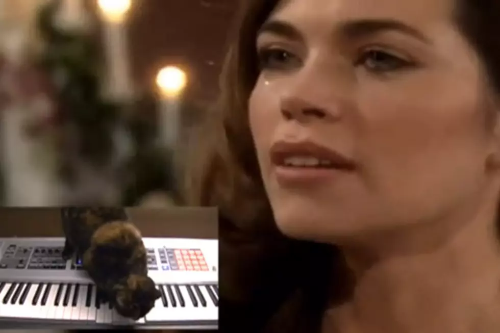Cat Composes Music For a Soap Opera and It Sounds Perfect