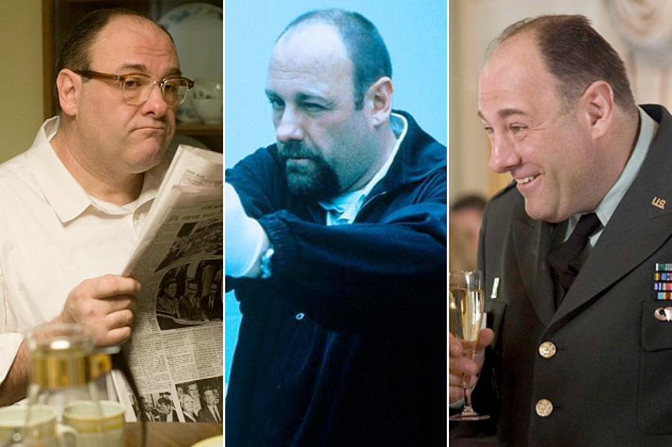 The Best James Gandolfini Movies You May Never Have Seen