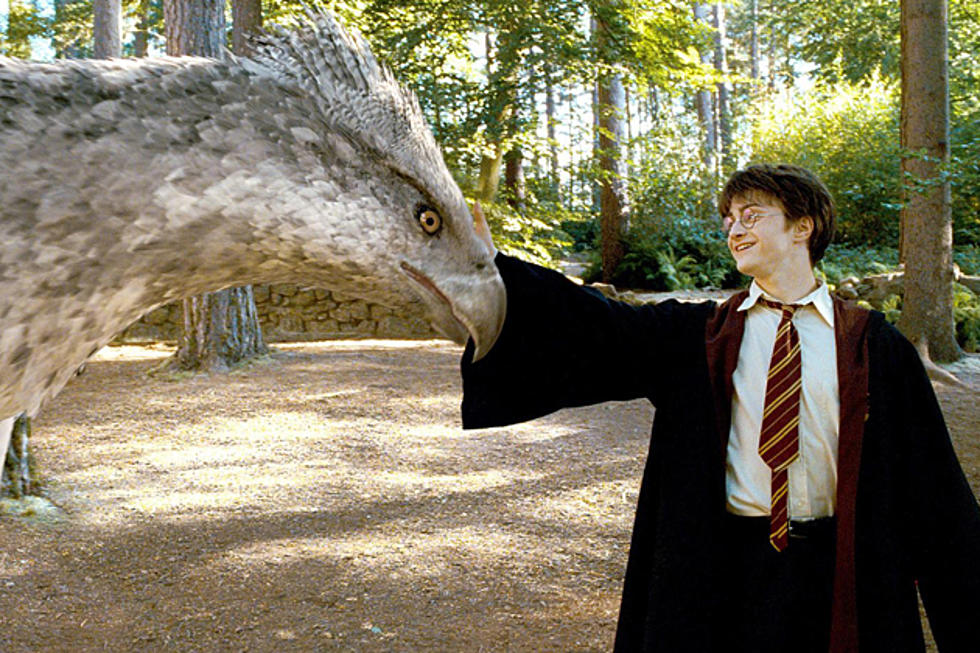 More &#8216;Harry Potter&#8217; Movies? J.K. Rowling Adapting &#8216;Fantastic Beasts and Where to Find Them&#8217;