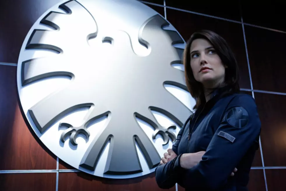 &#8216;The Avengers 2&#8242; Re-Enlisting Cobie Smulders to Face the &#8216;Age of Ultron&#8217;