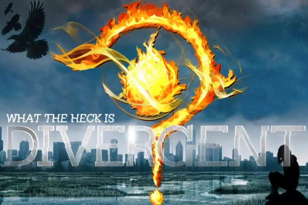 Everything You Ever Wanted to Know About &#8216;Divergent&#8217; But Were Afraid to Ask