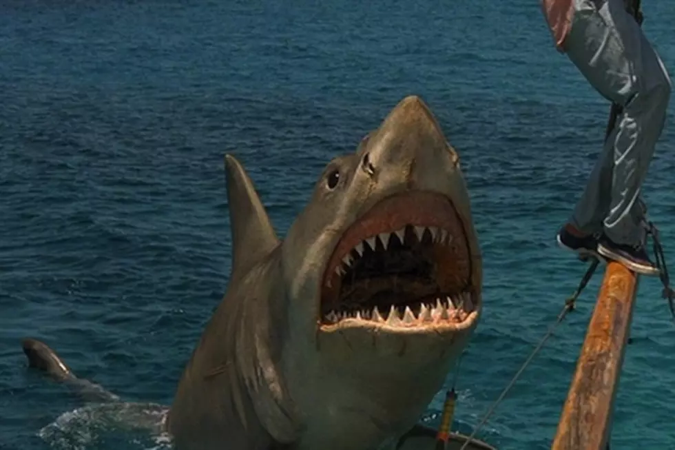 Jaws “Bites” Conrad