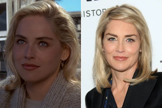 See The Cast Of Basic Instinct Then And Now