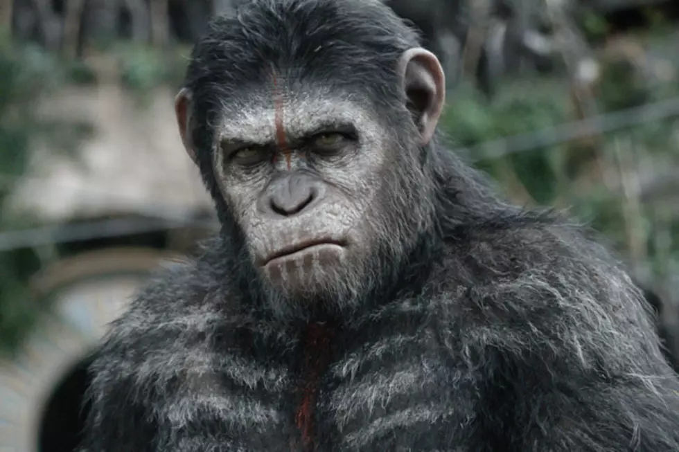 ‘Dawn of the Planet of the Apes’ TV Spot: Fear the Impending War
