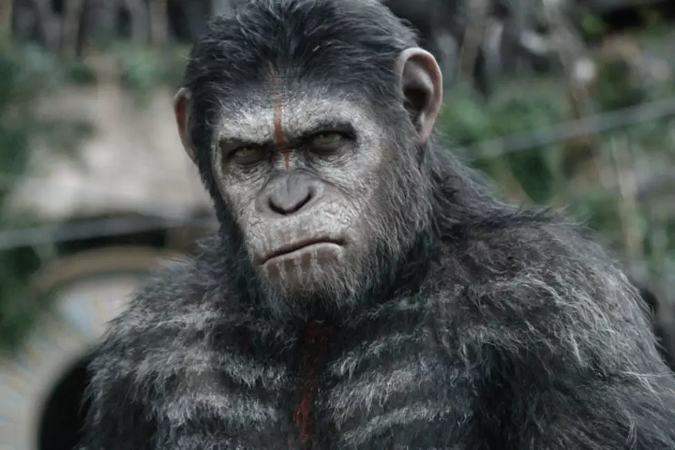 ‘Dawn of the Planet of the Apes:’ Fear the Impending War [Video]