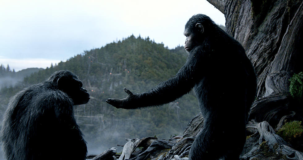 Minute after the Movie – Dawn of the Planet of the Apes
