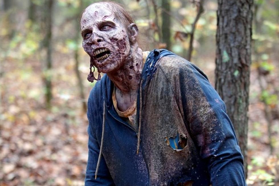 Zombies Invade With 'Z Nation'