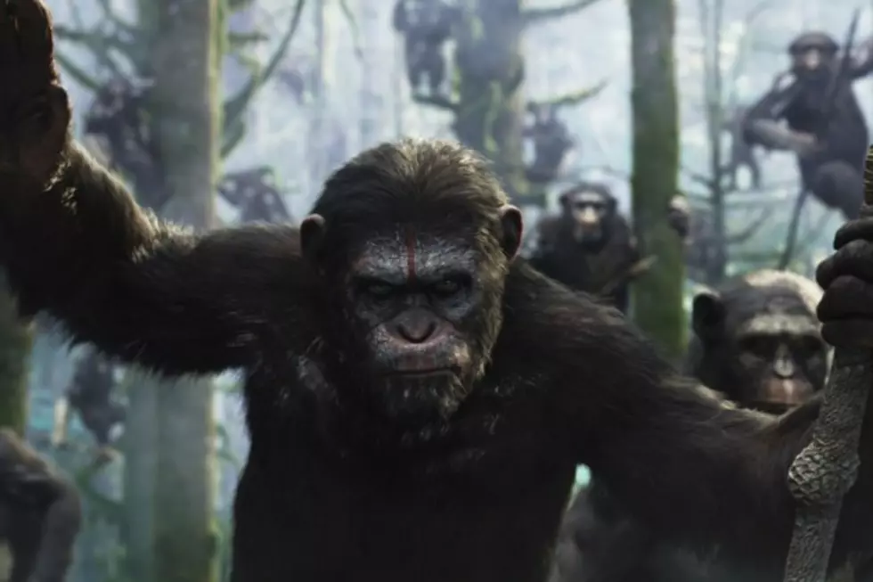 &#8216;Dawn of the Planet of the Apes&#8217; Limited Edition Blu-ray Set Comes with Awesome Replica of Caesar&#8217;s Head