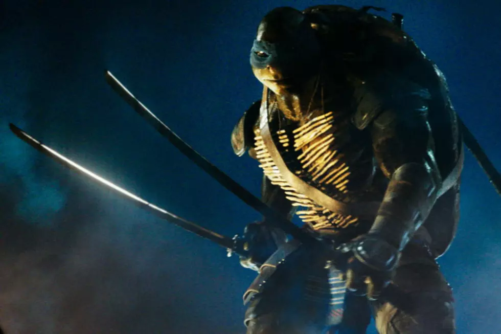 Comic-Con 2014: &#8216;Teenage Mutant Ninja Turtles&#8217; Panel Shows Off a Big Chunk of New Footage