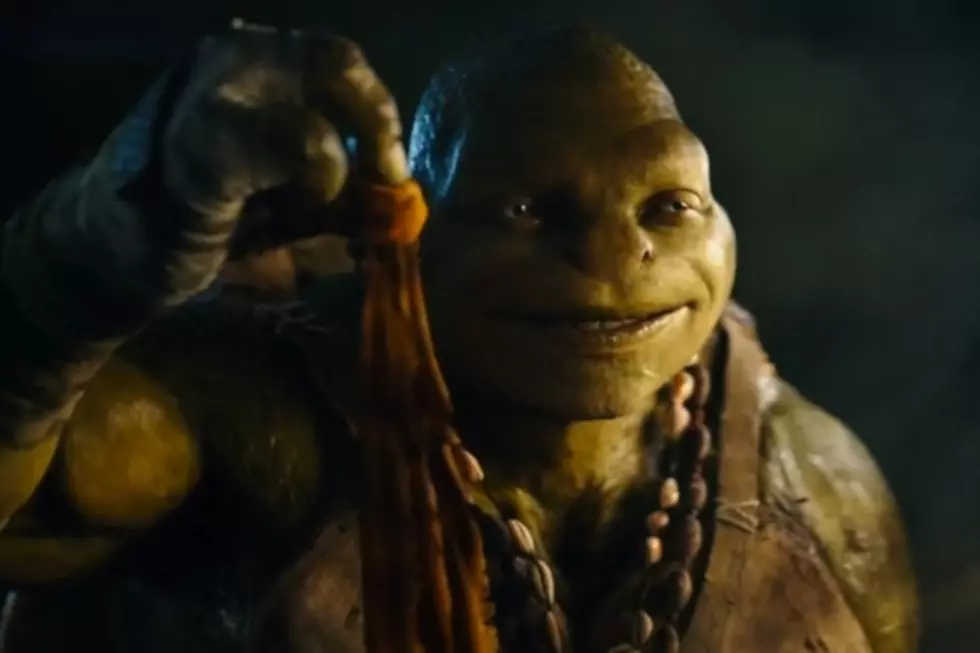 Weekend Box Office Report: 'Turtles' Battle the 'Guardians'