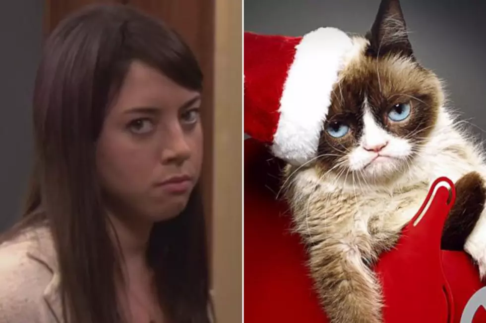 Aubrey Plaza Lands Role She Was Born to Play: Grumpy Cat!