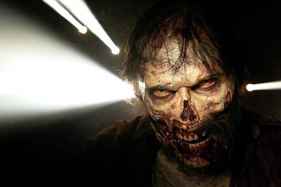 &#8216;The Walking Dead&#8217; Spinoff: AMC Officially Orders Companion Series Pilot for 2015