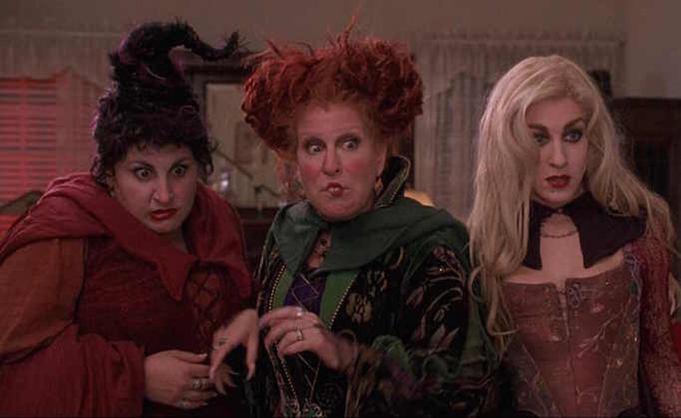 Freeform Showing “Hocus Pocus” All Day on Halloween!