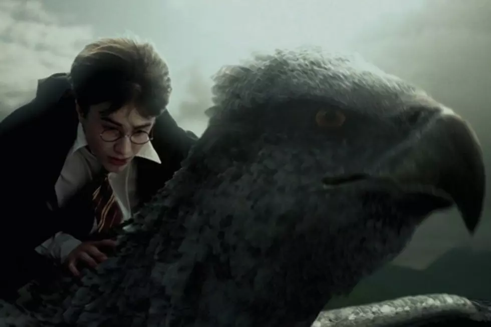 The Wrap Up: J.K. Rowling Drops Some Playful &#8216;Fantastic Beasts&#8217; Tweets
